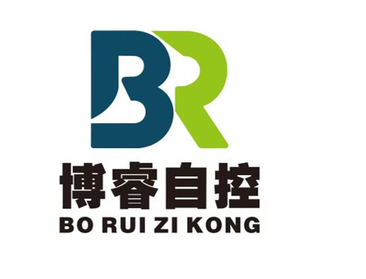 深圳市博睿自控技術有限公司